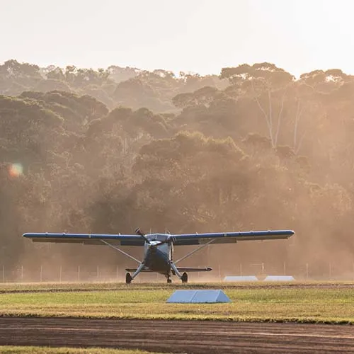 moruya_0001_435341709_18424831735056869_7502245562281172451_n